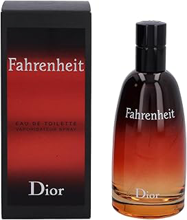 Perfume Masculino Dior Fahrenheit 100ml Edt